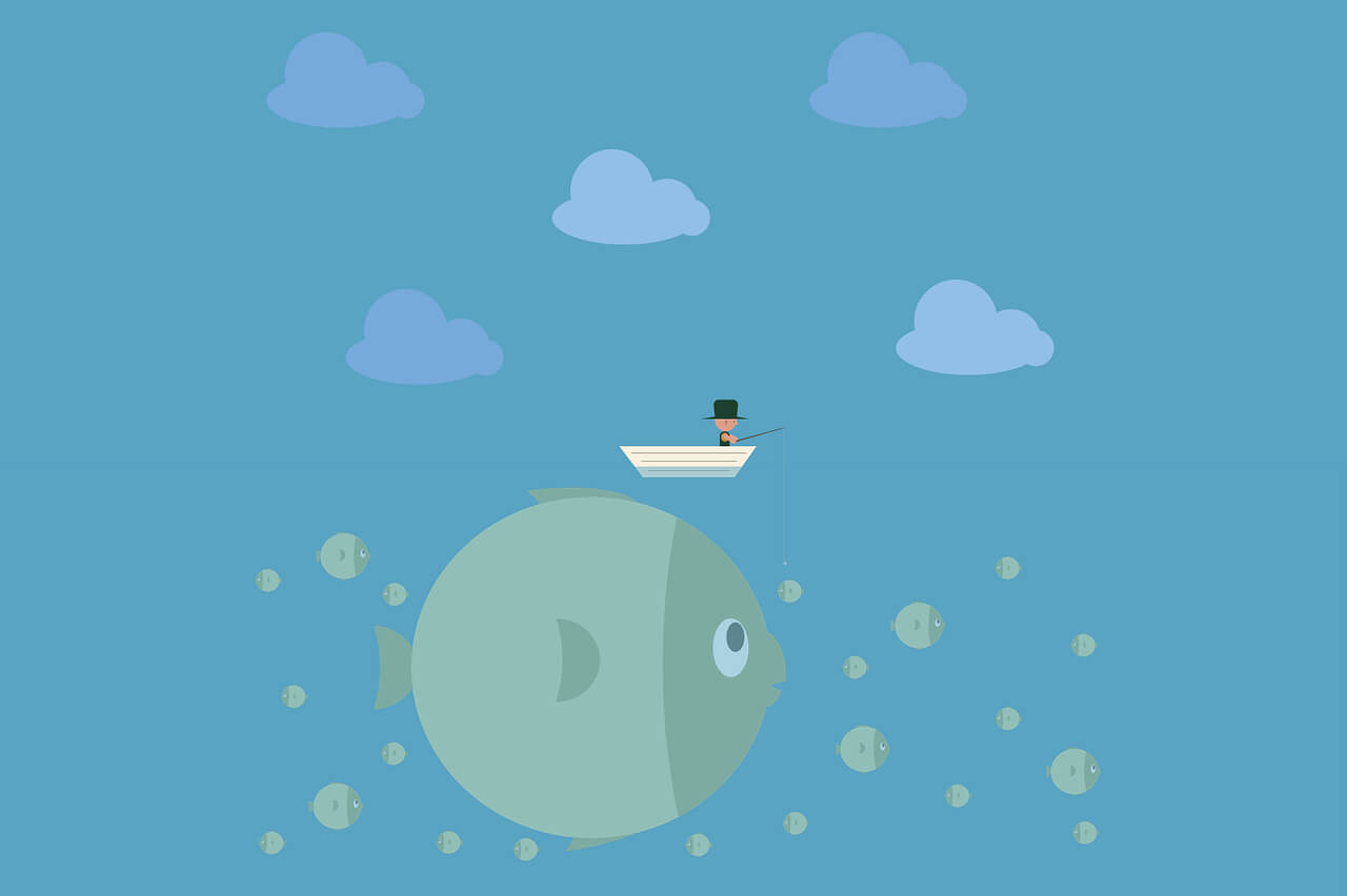 欢迎使用 Typecho-Hello World